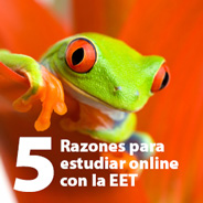 Descarga el PDF